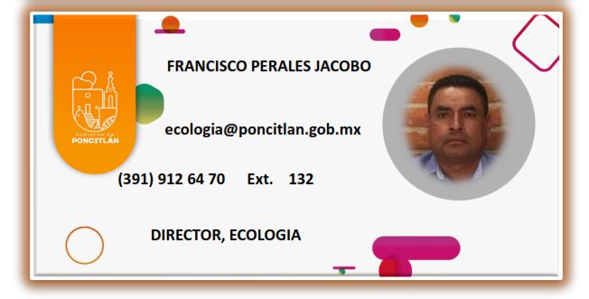 FRANCISCO PERALES JACOBO
